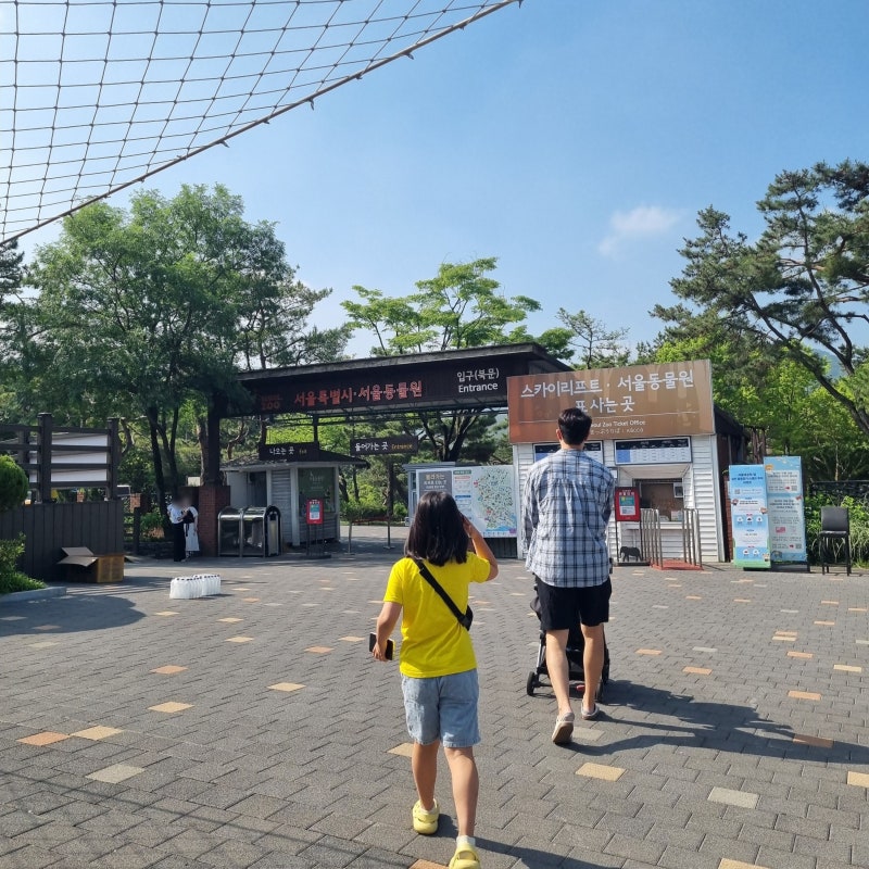 서울대공원 동물원, 코끼리열차 없이 입구 3분 컷 평일 주차 꿀팁과 다자녀 무료입장 정보
