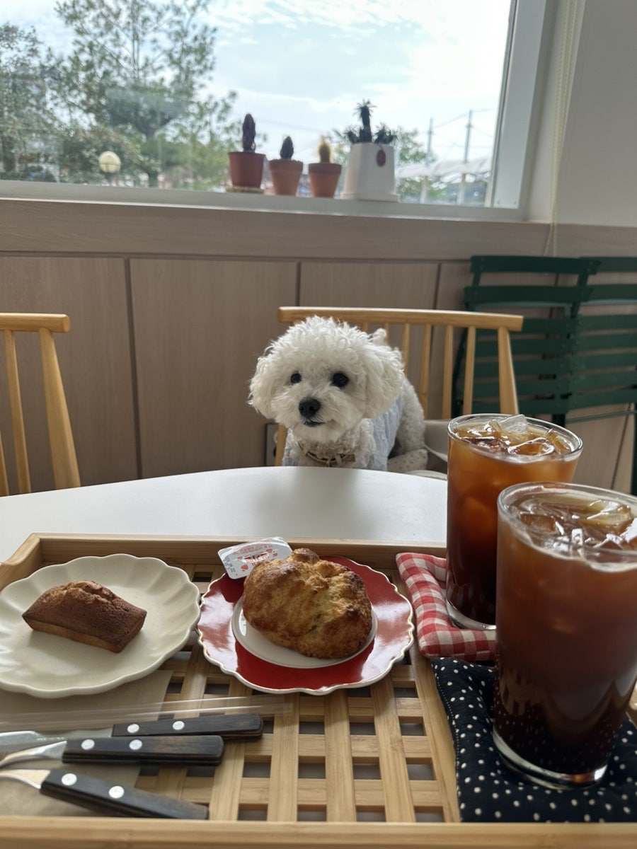 오래뜰 사진 6