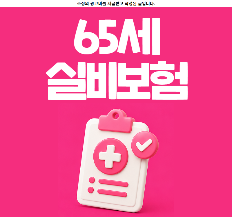 65세 실비보험 추천 가격 보험료 금액 알아보고 가입 해야 하는 까닭