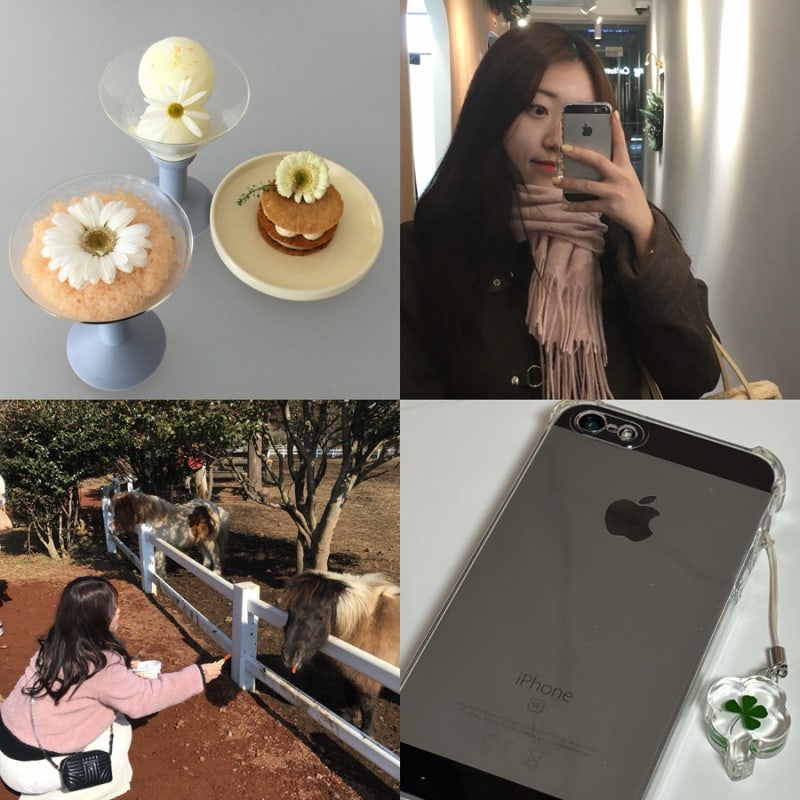 아이폰 se1 색감 후기｜인물·카페·풍경 사진 모음