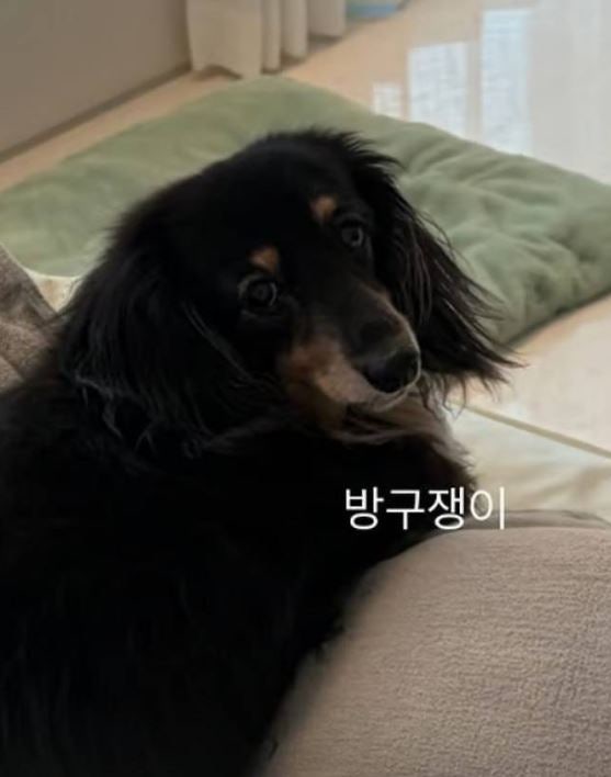 "14년 연인 정경호·최수영 결별설" 알고 보니 관심 쏠린 건 따로 있었다