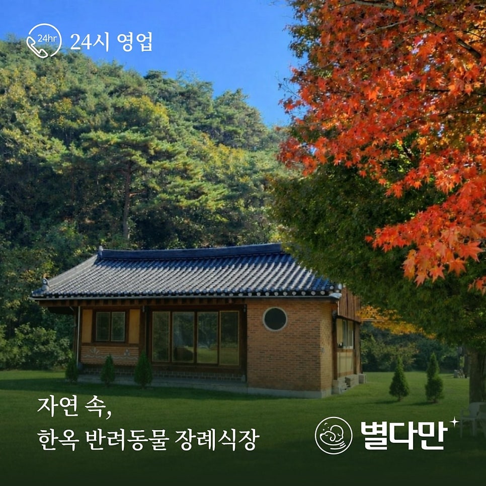 화정힐동물병원 사진 2