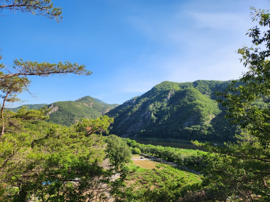 자지산 사진 5
