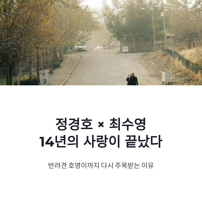 정경호 최수영 결별 반려견 호영이까지 다시 주목받는 이유