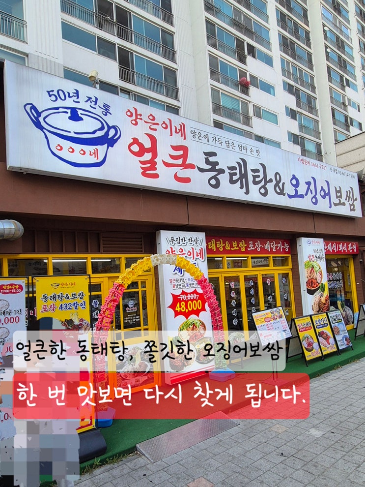  양은이네 세트 가격 얼큰동태탕 오징어보쌈