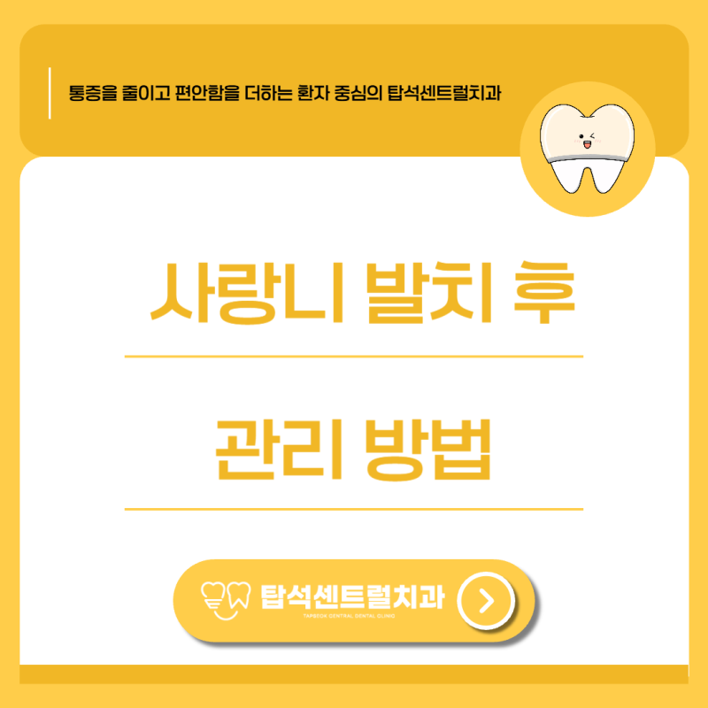 의정부 치과 사랑니 발치 후 회복, 어떻게 괸리해야 될까?