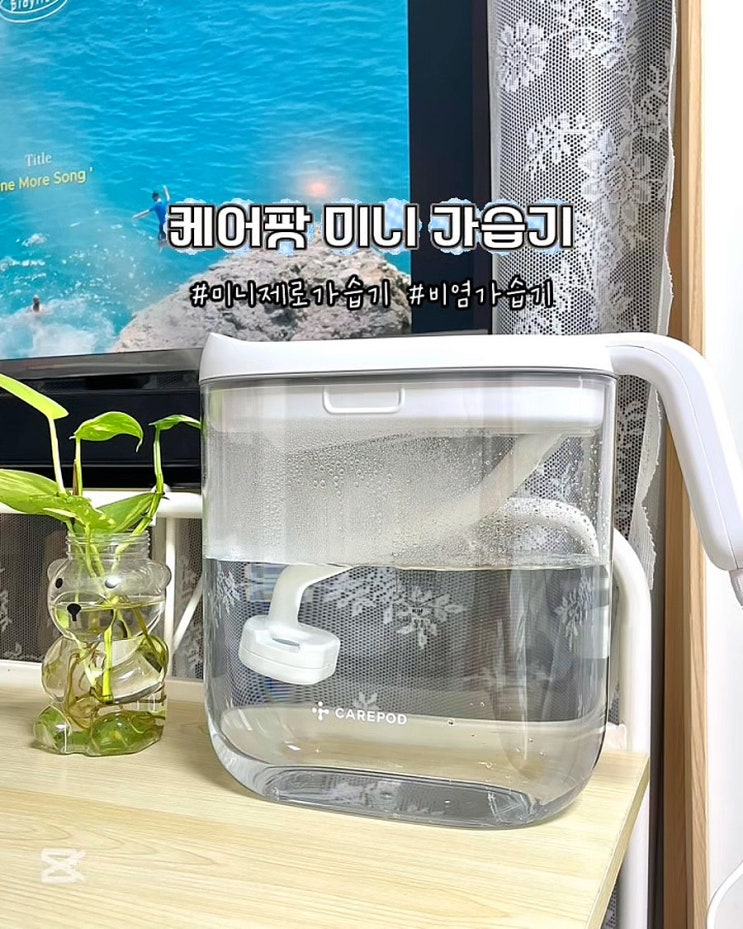 케어팟 미니 가습기 네이버 넾다세일 여름가습기 간편세척 실사용 후기