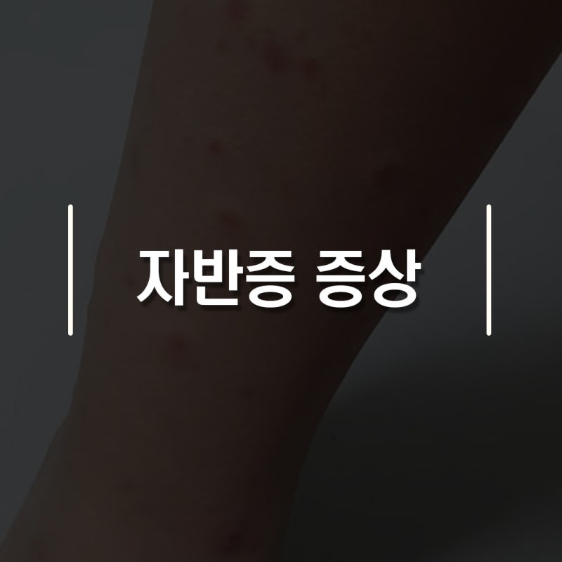 자반증 증상 5가지, 붉은 반점 원인과 치료법