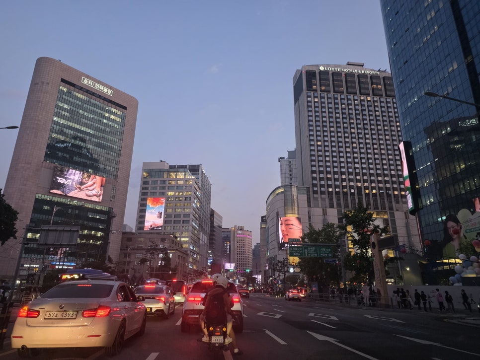 린치타이 사진 1