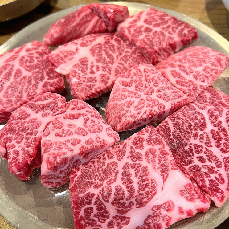  수원소고기맛집 이목동한우마을 최고급 한우1++