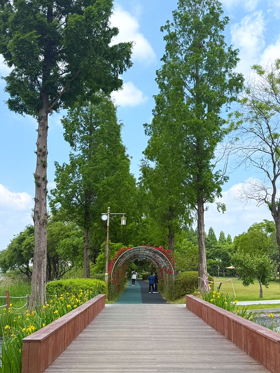 카페그래비티 사진 3