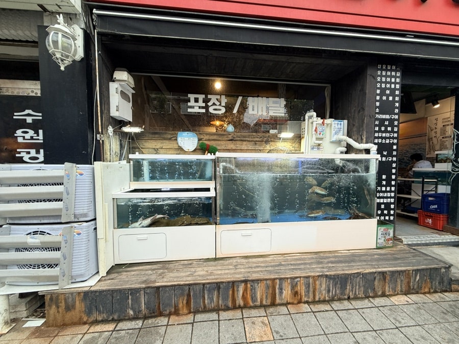 싱싱오징어나라 매탄점 사진 5