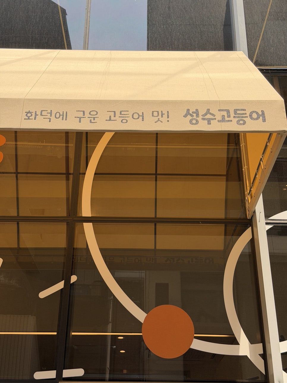 성수고등어 사진 2
