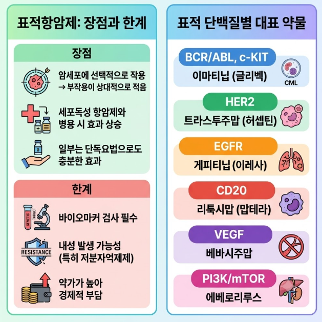 "내 암에 맞는 표적항암제가 따로 있다 – 종류별 정리"