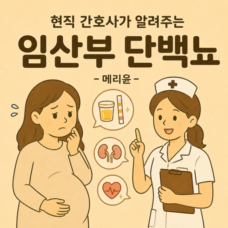 현직 간호사가 알려주는 임산부 단백뇨 (임신 단백뇨 수치부터 관리까지)