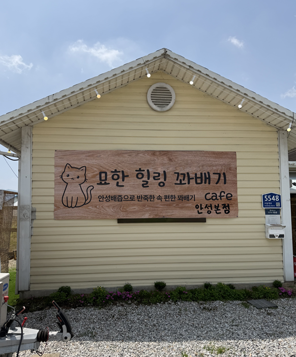 커피집 사진 4