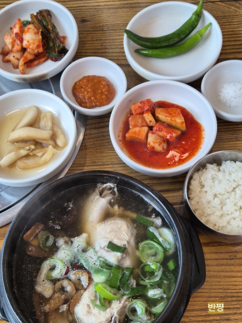 [당산] 귀한 능이버섯 으로 몸보신 할수있는 당산 삼계탕 맛집 당산마루 능이버섯삼계탕