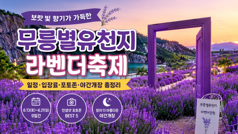 2026 무릉별유천지 라벤더축제 총정리｜보랏빛 향기 가득한 강원도 6월 여행지 추천