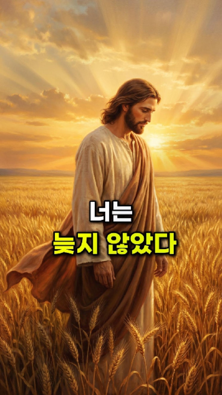  예수님 메시지: 너의 눈물도 내게는 기도로 들렸다