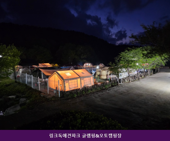 링크독애견파크 사진 3