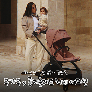 부가부 콩제슬래드 체리 에디션 가격 총정리, 한정판 감성 유모차 끝판왕!