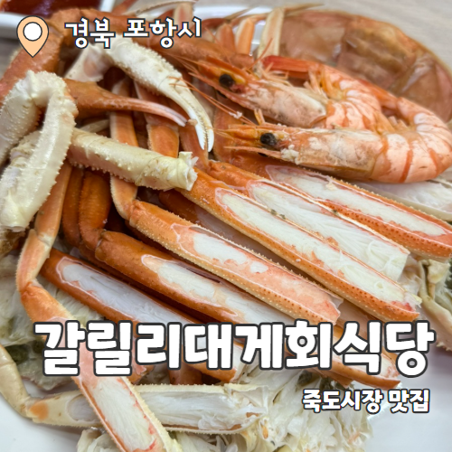  갈릴리대게회식당 : 포항 죽도시장 푸짐한 대게맛집 추천 후기