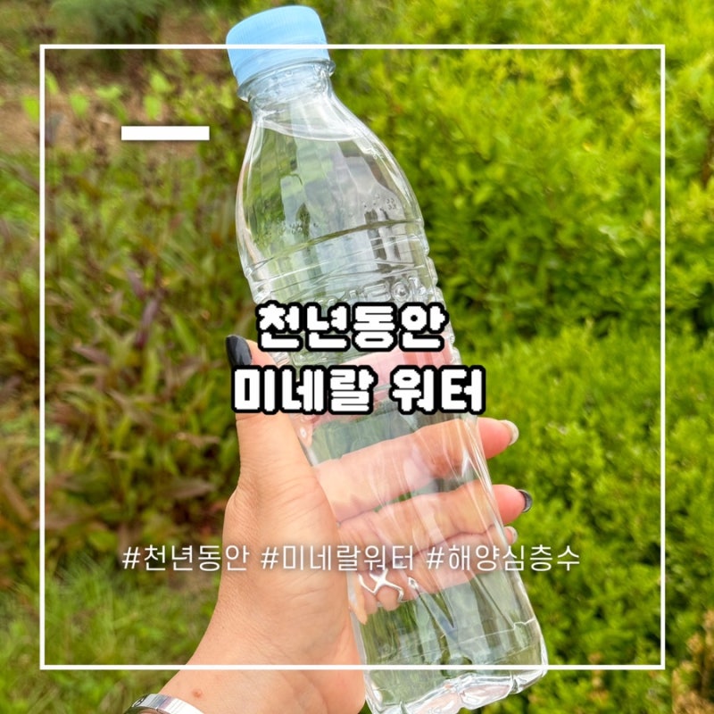미네랄워터 생수 안전한 생수 추천 천년동안의 해양심층수 마셔본 솔직 후기
