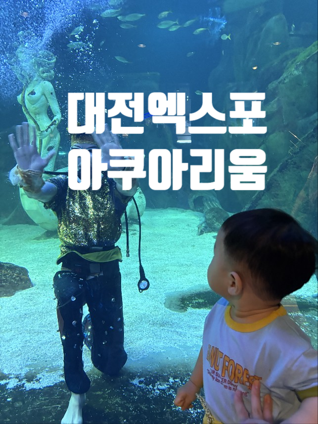  [대전 신세계 아쿠아리움] 대전 엑스포 아쿠아리움(롯데월드 아쿠아리움 비교)