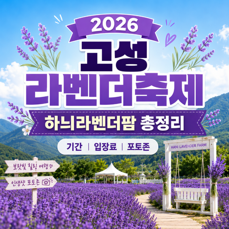 2026 고성 라벤더축제 총정리 하늬라벤더팜 기간 입장료 포토존