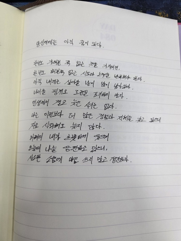  [100일 필사노트] 당신에게는 아직 꿈이 있다.