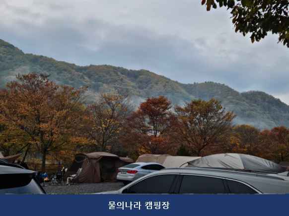 물의나라 캠핑장 사진 3