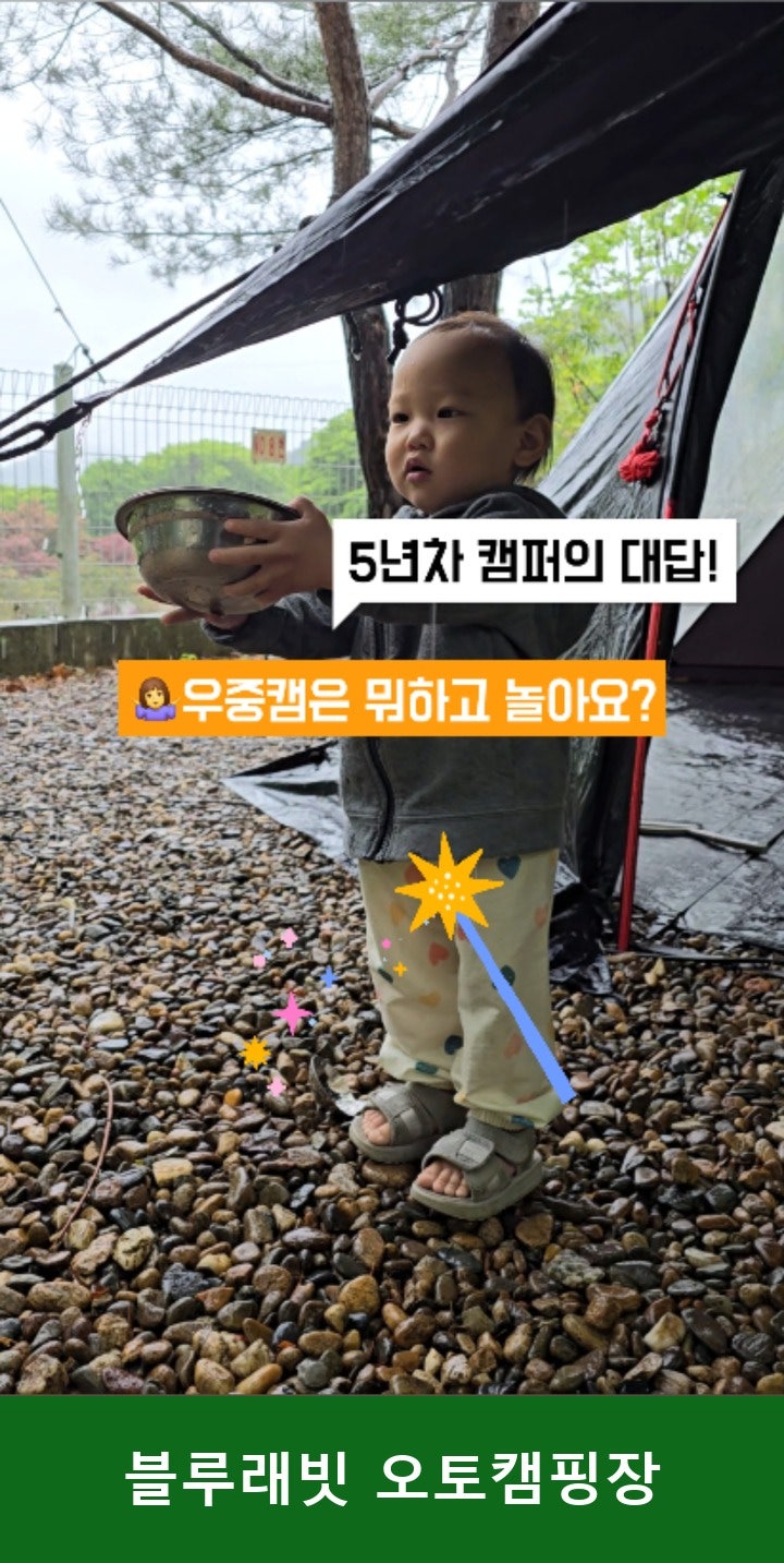 블루래빗 사진 2