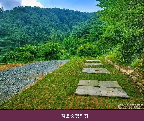 겨울숲캠핑장 사진 1