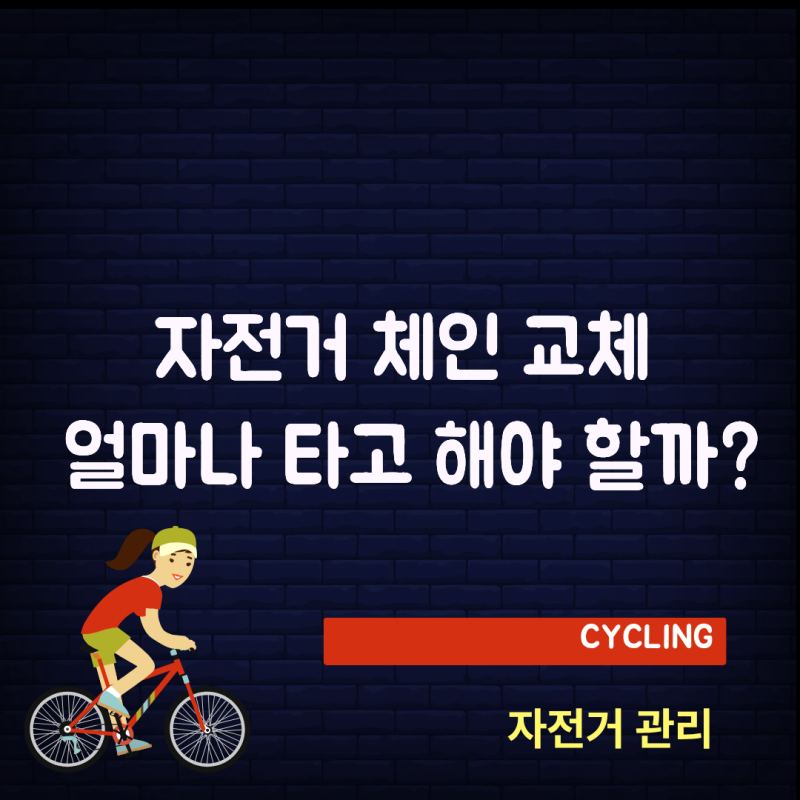 자전거 체인 교체 얼마나 타고 해야 할까? (주행거리보다 중요한 체인 늘어남 체크법)