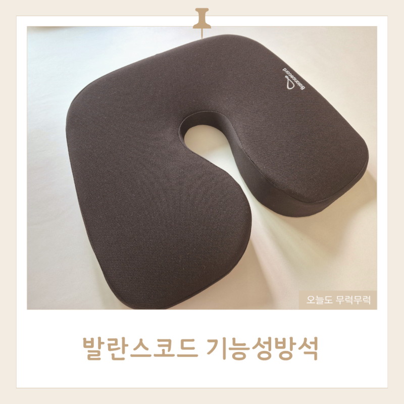 치질방석 추천 임산부방석으로 유명한 발란스코드 기능성방석 후기
