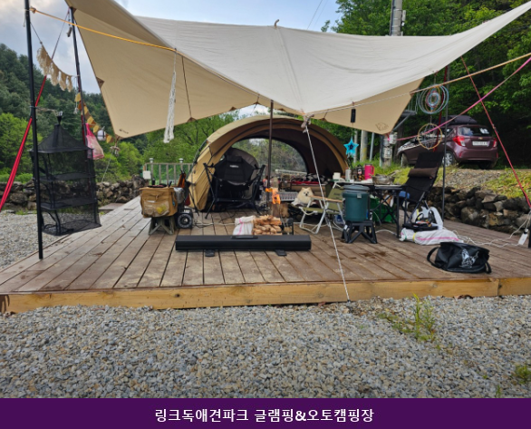 링크독애견파크 사진 2