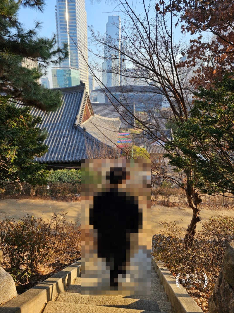 서울 강남 한복판에 이런 절이, 봉은사 좋구나야