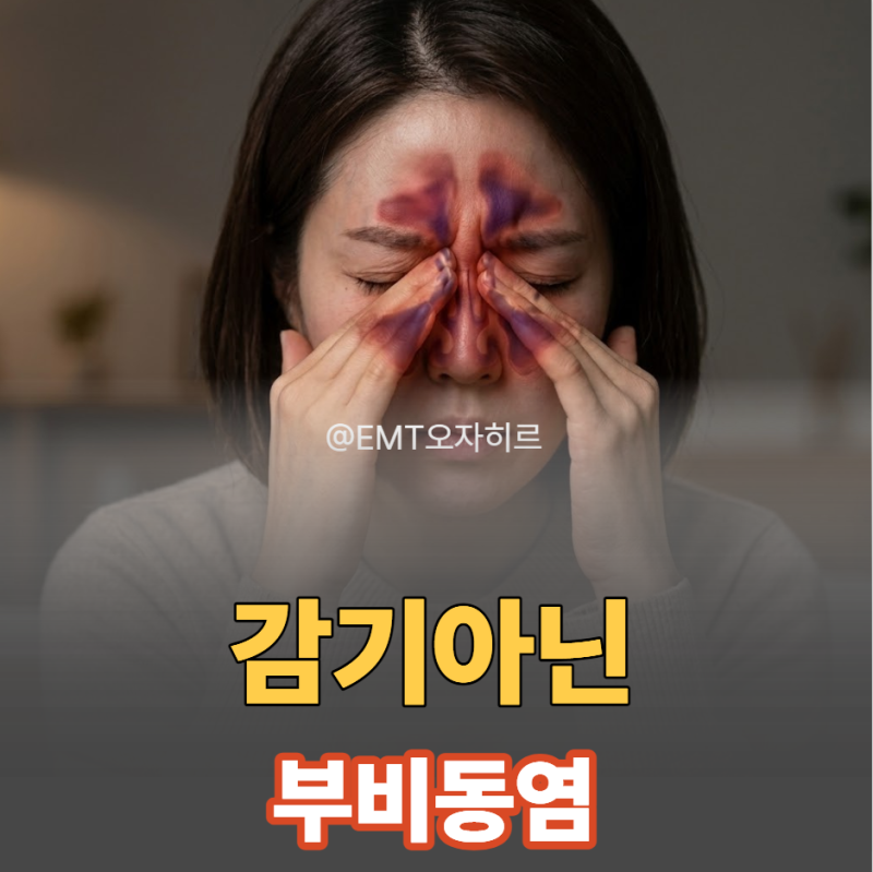 코막힘 미간 통증, 단순 두통 아닌 부비동염(축농증) 증상? 후비루 치료 및 코세척 후기