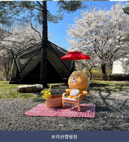 보리산캠핑장 사진 2
