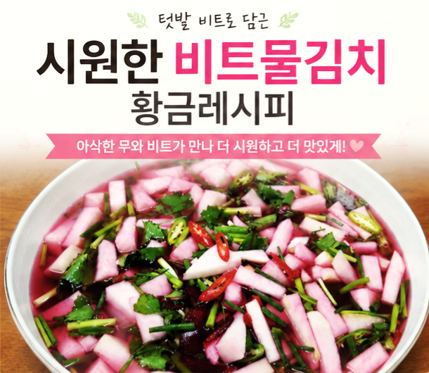 텃밭에서 뽑아온 비트로 시원한 비트물김치 담그는 법