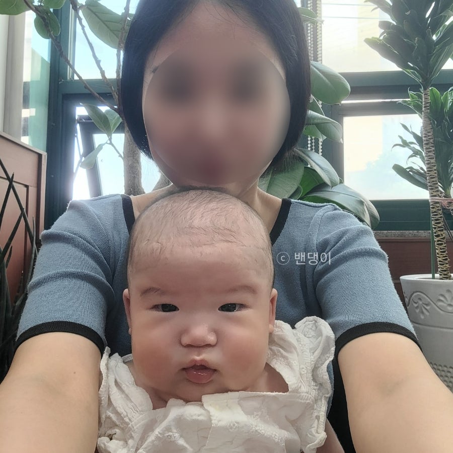 원냉면 사진 6
