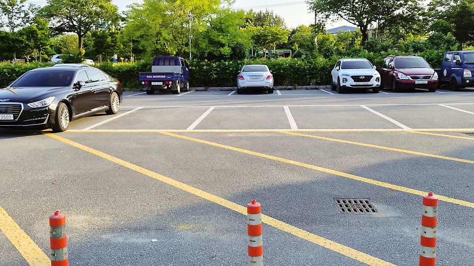 수림 사진 5