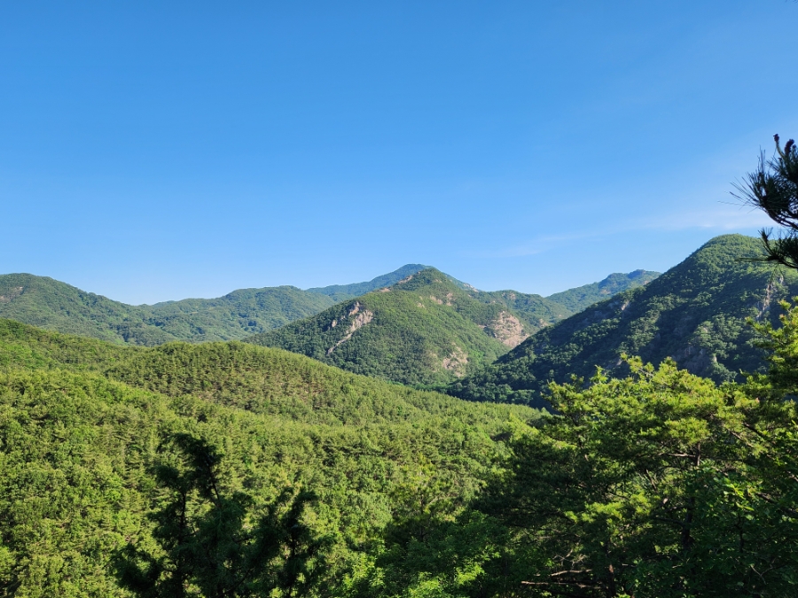 자지산 사진 6