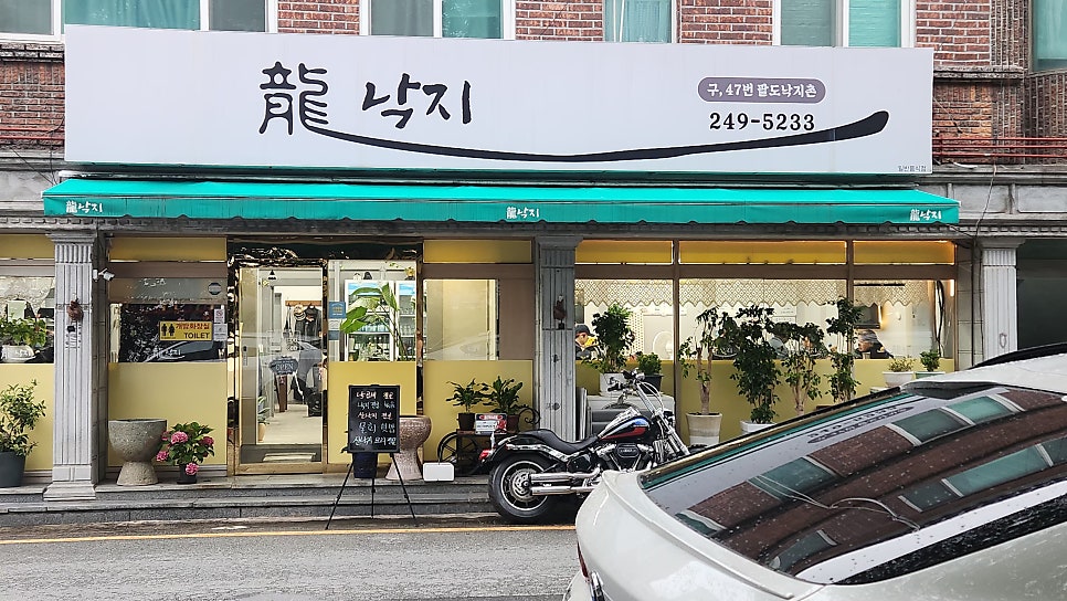 용낙지 사진 1