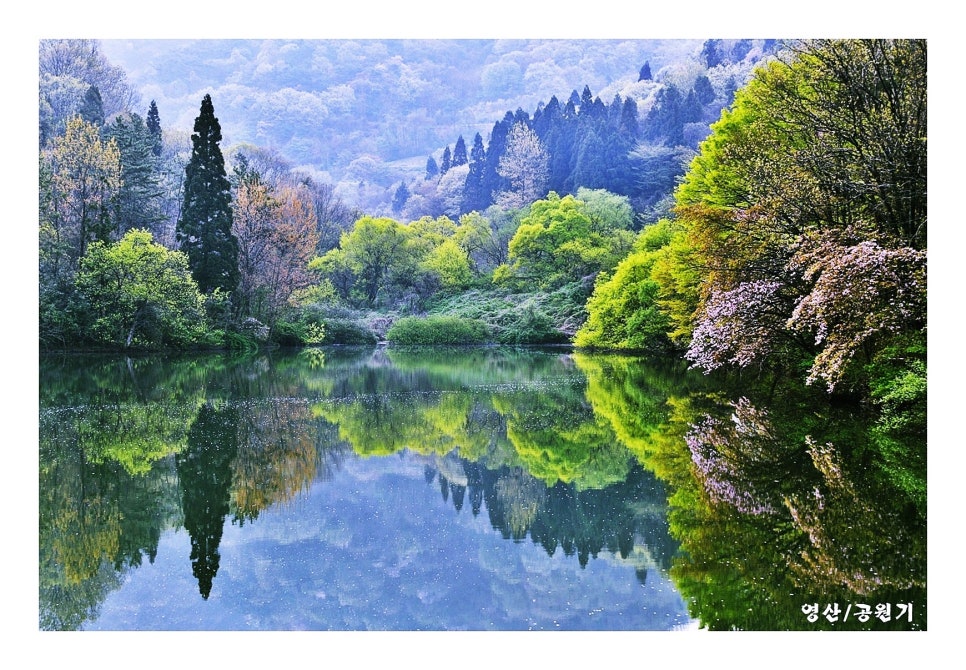 세량제 사진 2
