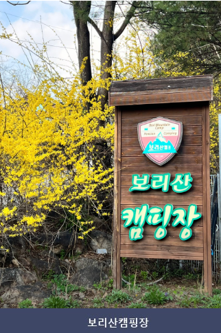 보리산캠핑장 사진 1