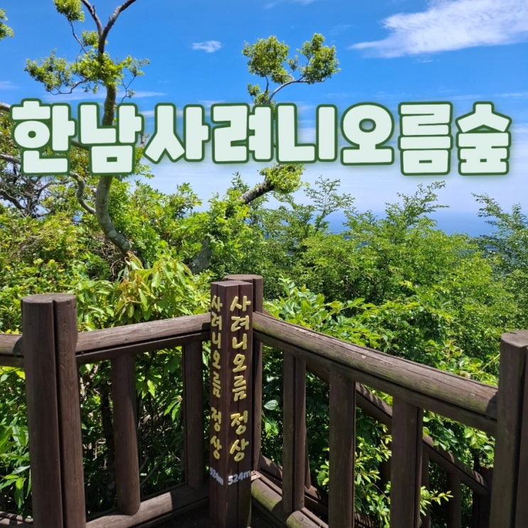  한남사려니오름숲 예약부터 탐방 코스까지 후기 정리 (100대 명품숲)