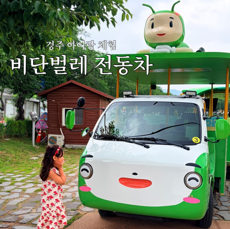 경주 비단벌레차 주차장 예약방법 경주 아이랑 체험