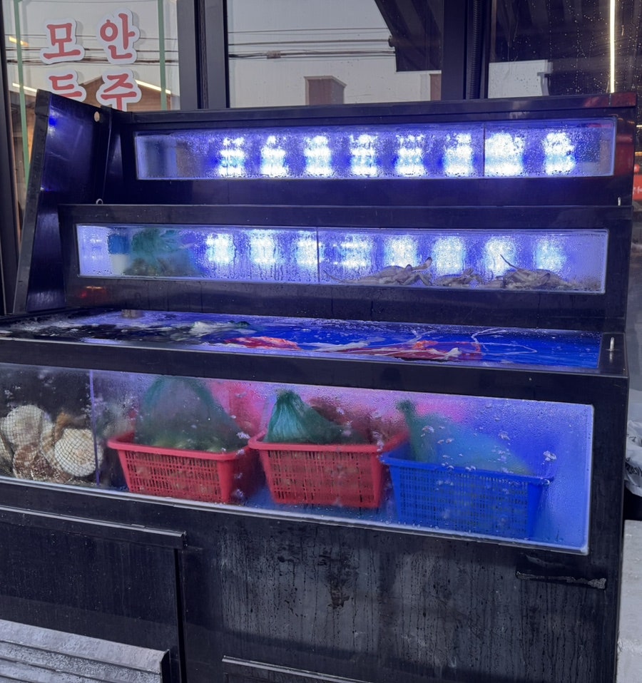 조개조아 사진 3