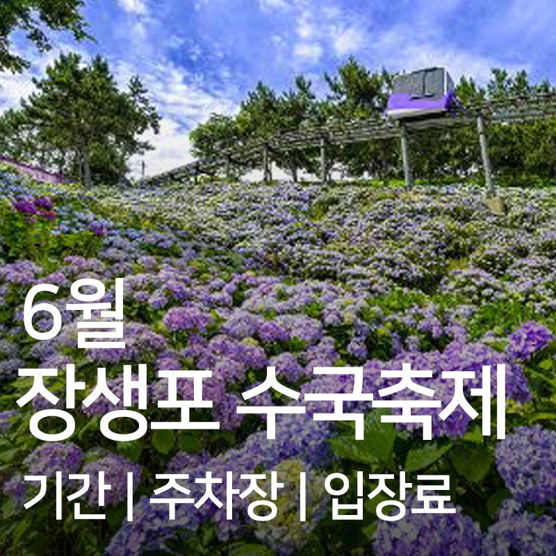 6월 울산 장생포 수국축제 기간은? 주차·야간개장·무료입장